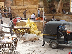 jaisalmer (179)